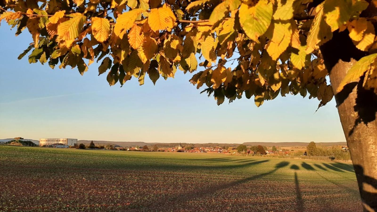 Stilvolle Ferienwohnung Im Eichsfeld Niederorschel Екстер'єр фото