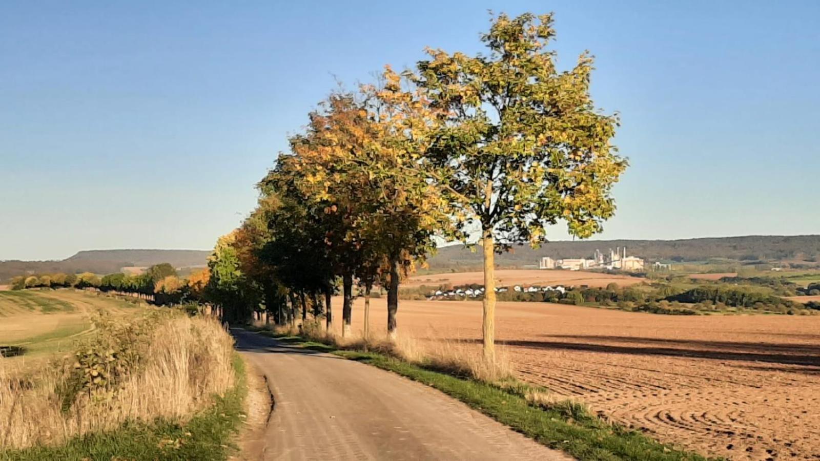 Stilvolle Ferienwohnung Im Eichsfeld Niederorschel Екстер'єр фото