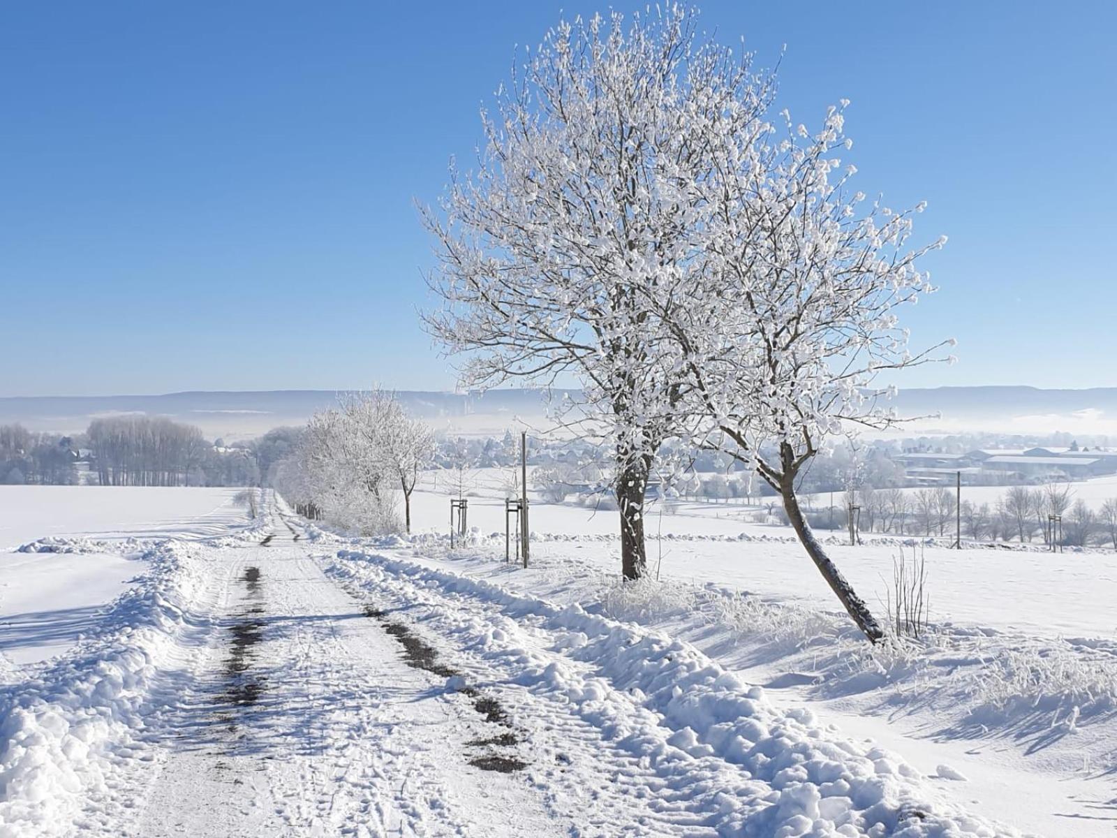Stilvolle Ferienwohnung Im Eichsfeld Niederorschel Екстер'єр фото